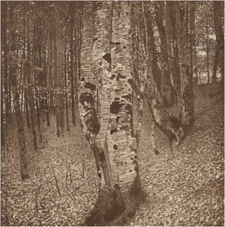 Beech Grove II by Gustav Klimt, 1903