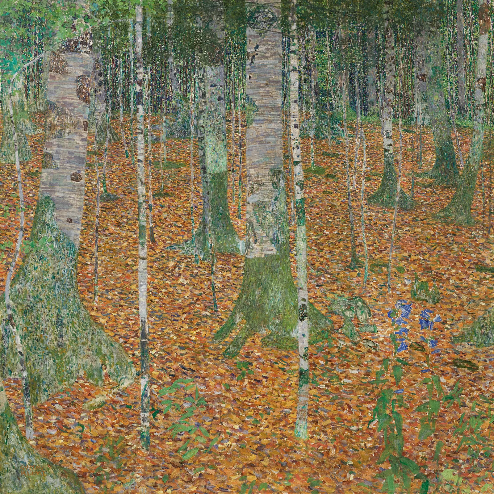 Birch Forest by Gustav Klimt, 1903