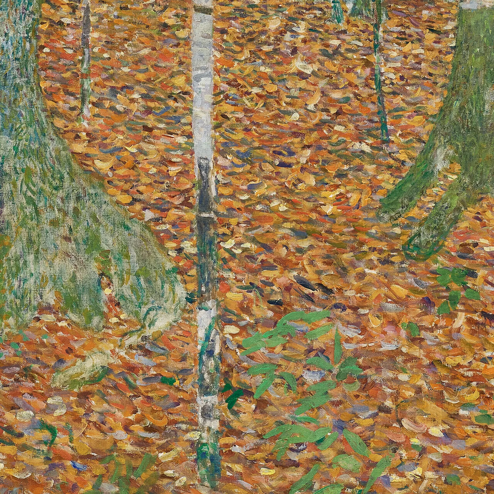 Detail 1 of Birch Forest by Gustav Klimt, 1903