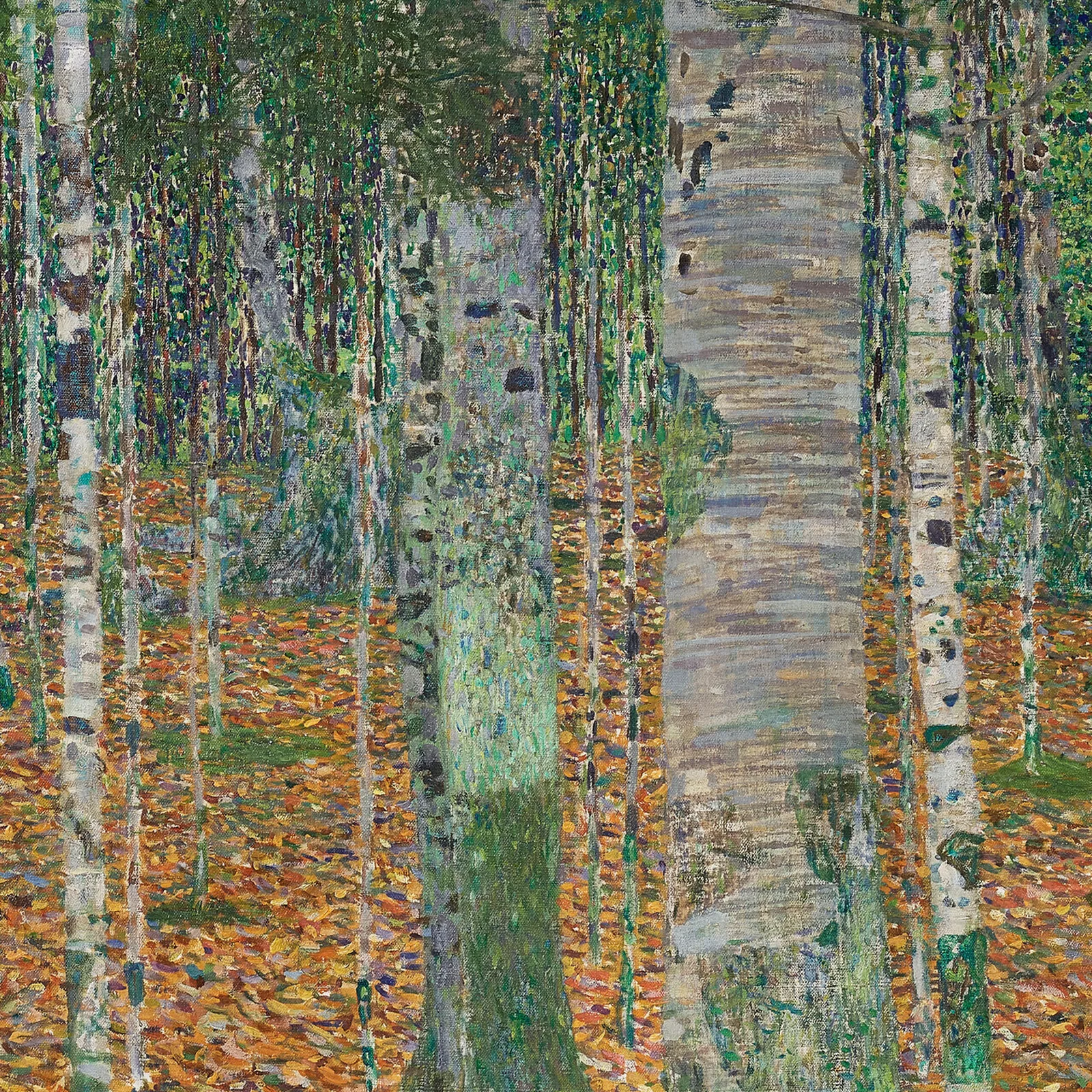 Detail 2 of Birch Forest by Gustav Klimt, 1903