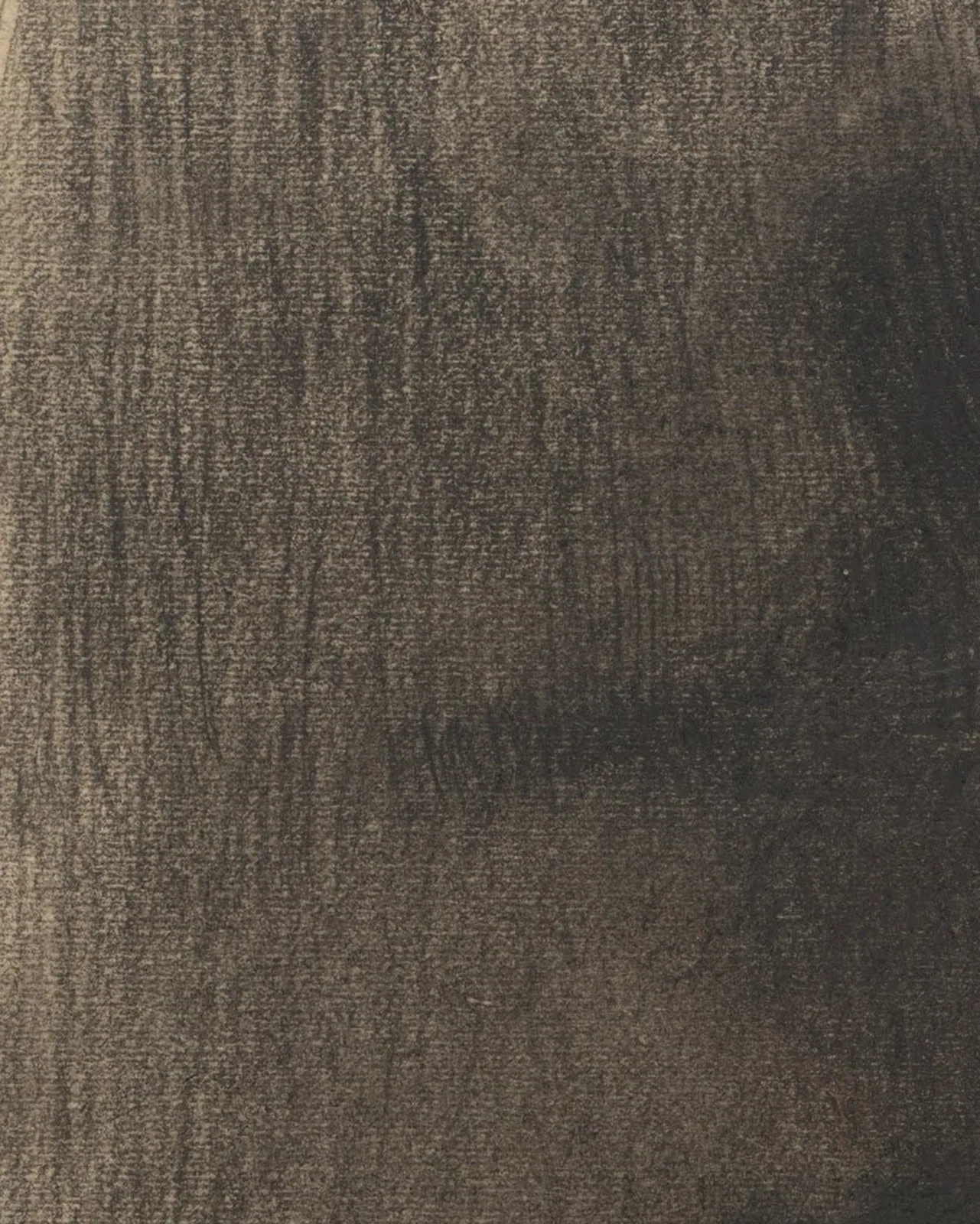 Detail 2 of Portrait of a Lady with Cape and Hat by Gustav Klimt, 1897–1898
