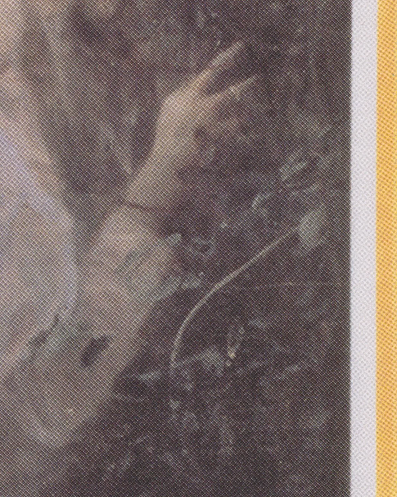 Detail 1 of Love by Gustav Klimt, 1895
