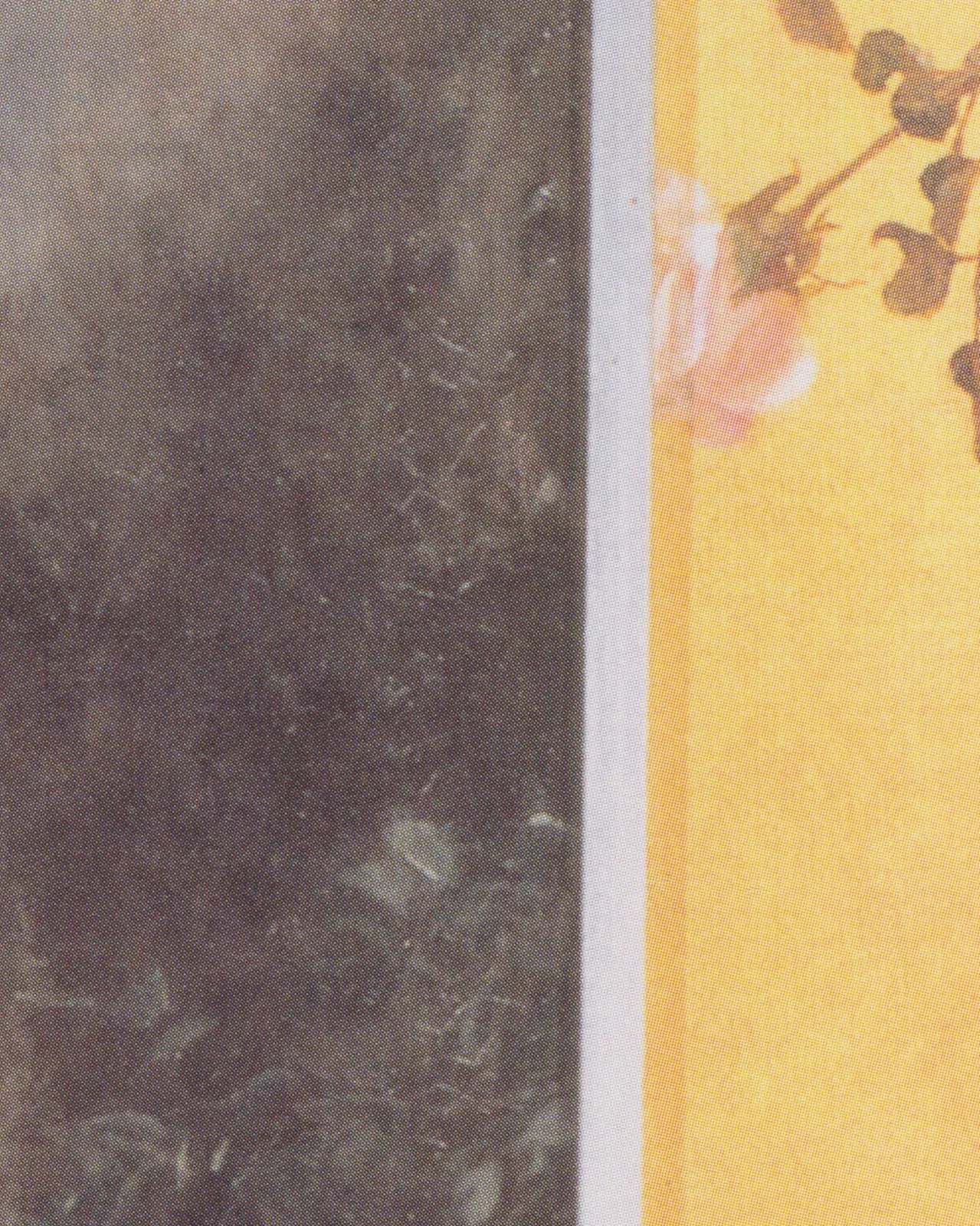 Detail 2 of Love by Gustav Klimt, 1895
